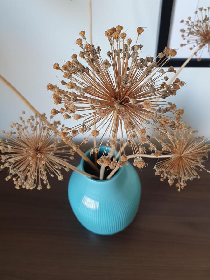 Ferienapartment Voegelsen Vogelsen Luaran gambar